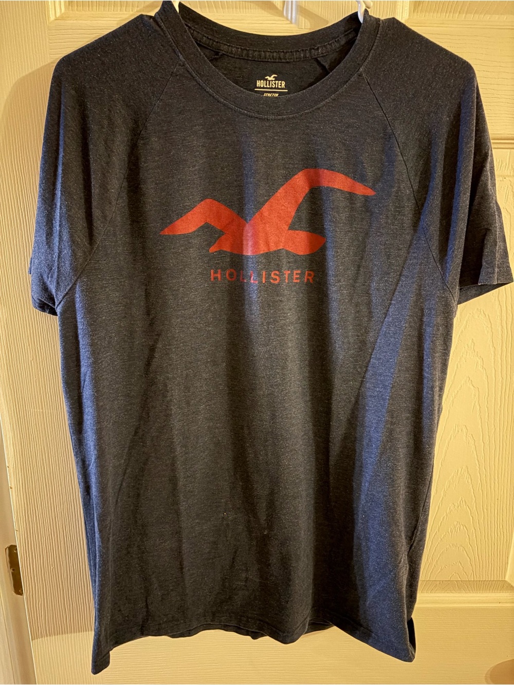 Hollister Navy Short Sleeve Tee with Red Seagull Logo